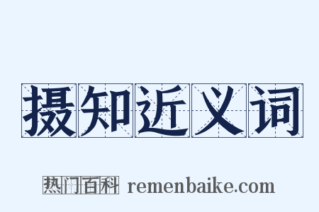 摄知近义词是什么意思的图片